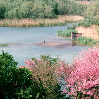 oasi naturalistica di Persano